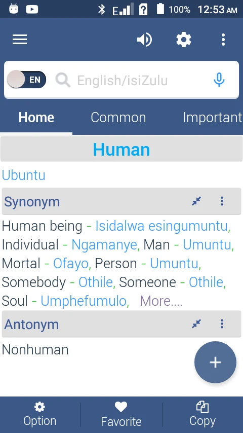English To Zulu Dictionary screenshot